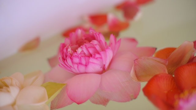Ayurveda Floral Bath