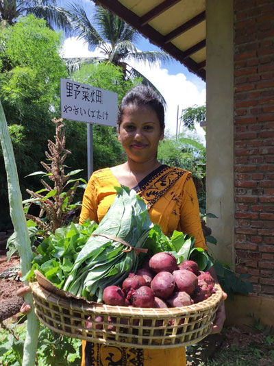 Garden Fresh atVegetable Karunakarala Ayurveda Resort