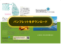 download japanese Pamphlet