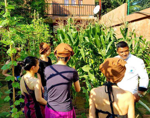 Garden Fresh atVegetable Karunakarala Ayurveda Resort